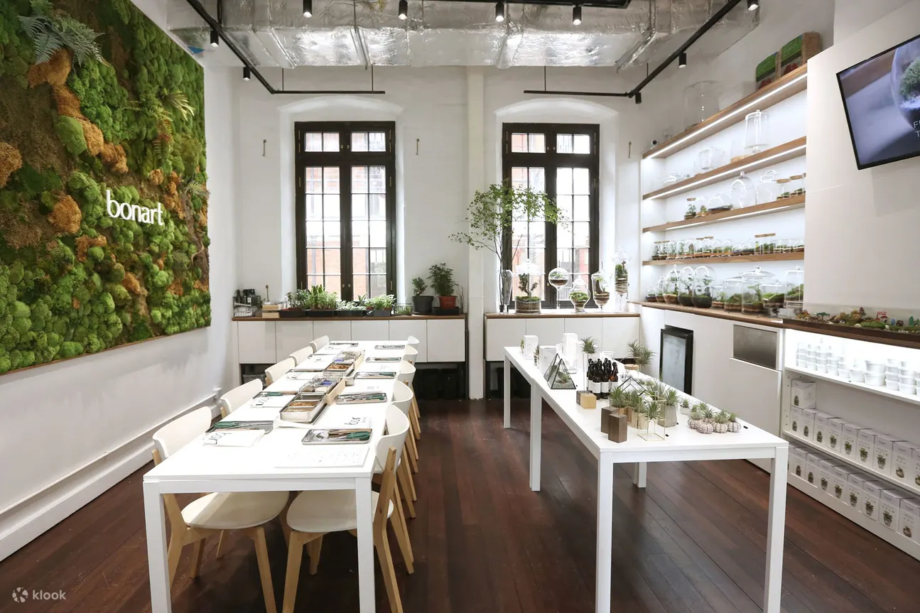 Bonart - 青苔生态盆景 | 多肉植物盆景 | 苔玉 | 板植蕨类 | 中环大馆
